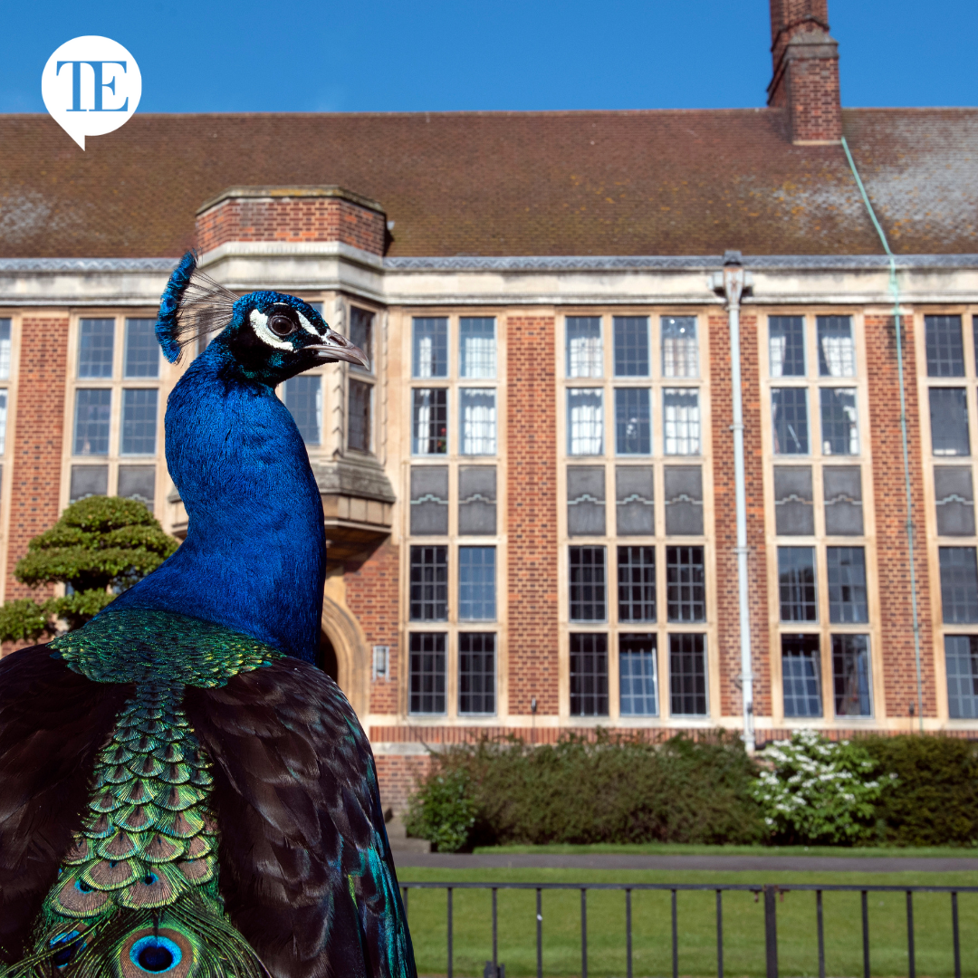 Reverse commuting: schools a train ride from London